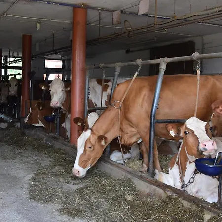 Sieglhof Gospodarstwo agroturystyczne Breitenbach am Inn