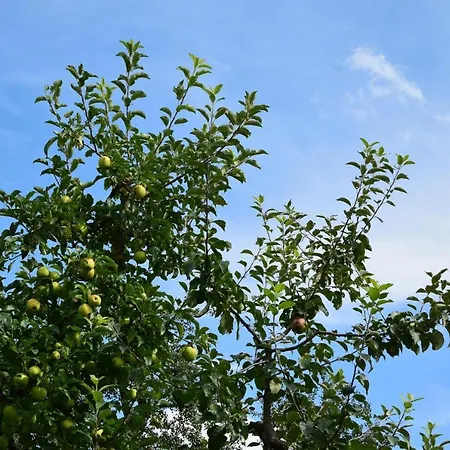 Bauernhof Sieglhof *