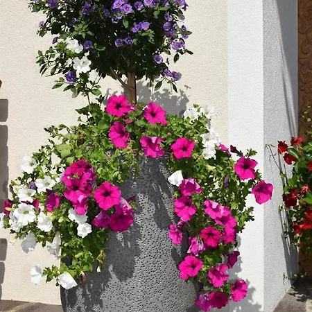 Sieglhof * Breitenbach am Inn