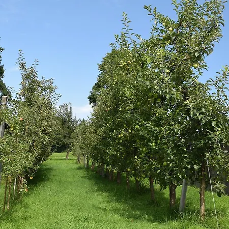 Sieglhof Gospodarstwo agroturystyczne *