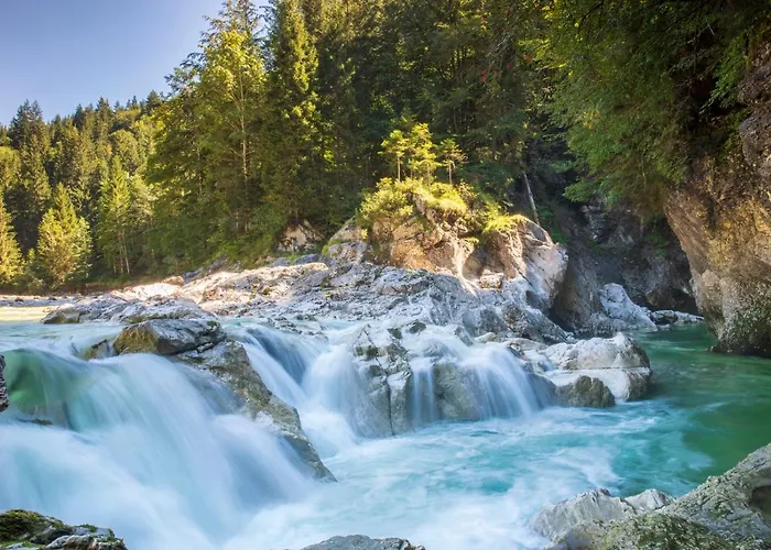 Sieglhof ファームステイ