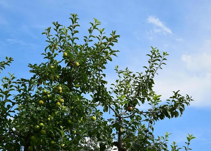 Çiftlik konaklama Sieglhof *