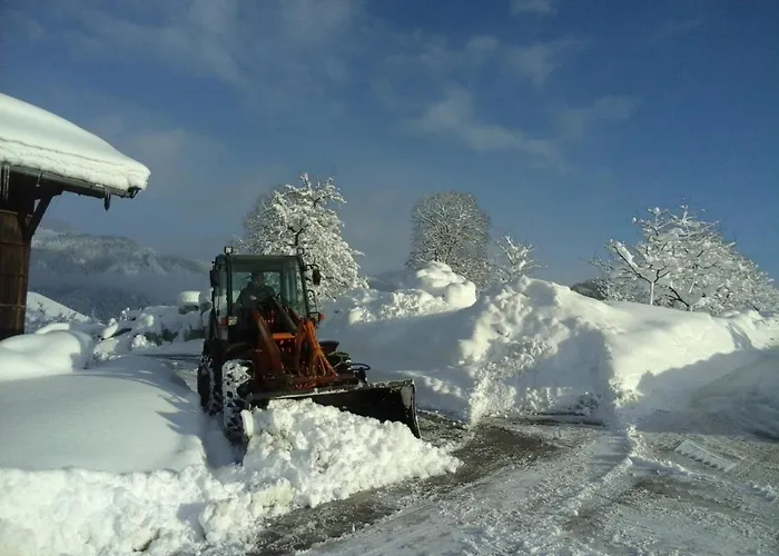 Sieglhof Çiftlik konaklama *