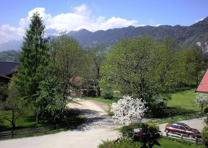 Sieglhof ファームステイ *