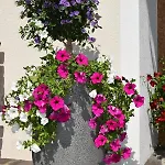 Sieglhof * Breitenbach am Inn