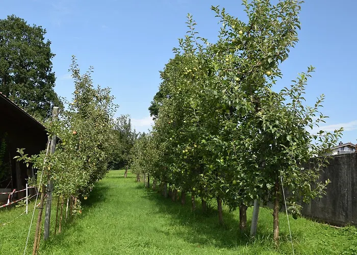 Sieglhof Feriegård *